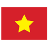 Vietnamese icon